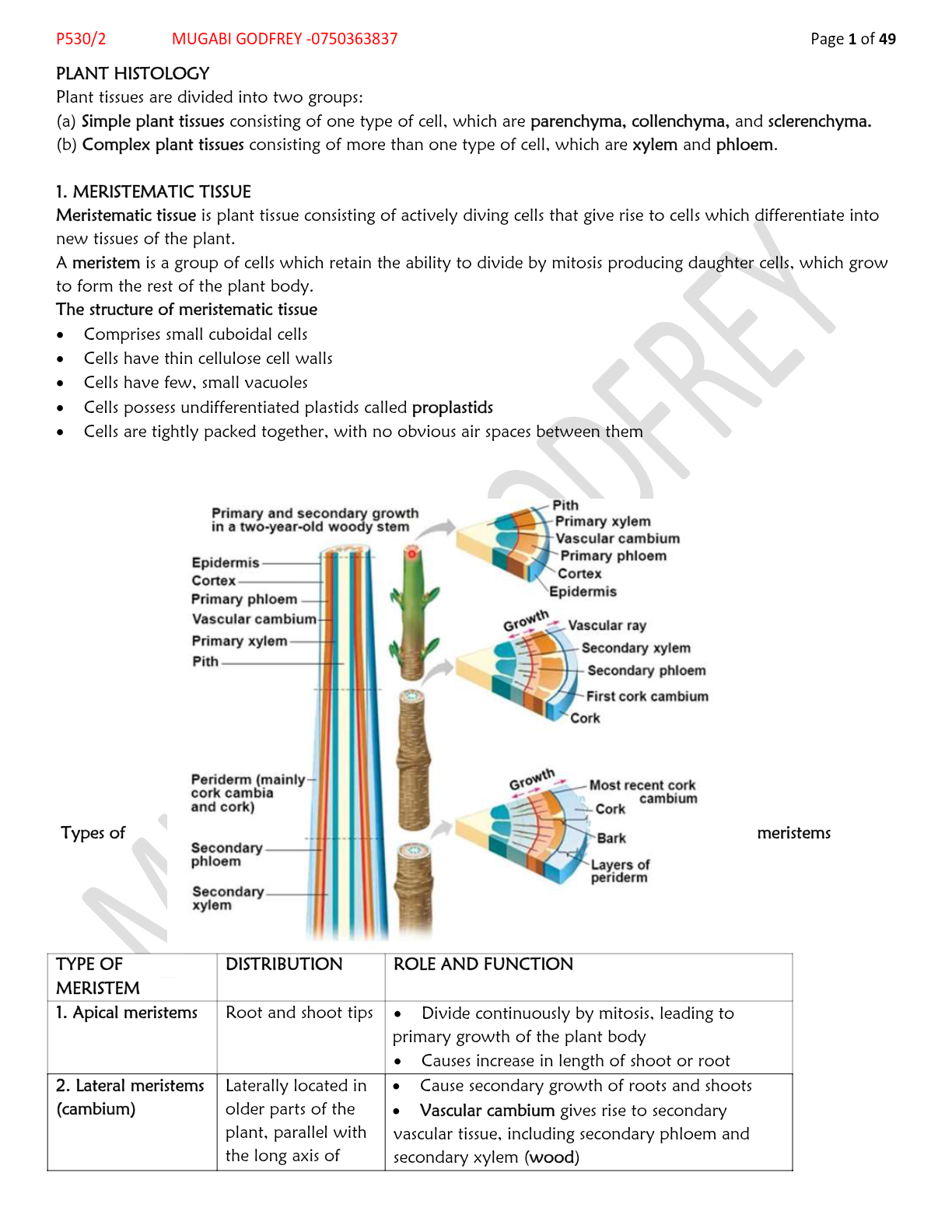 HISTOLOGY--TRUE
