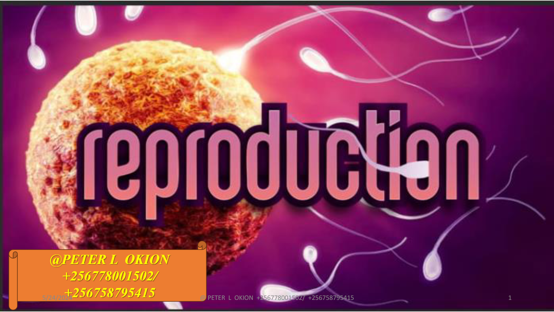 s4 biology notes reproduction