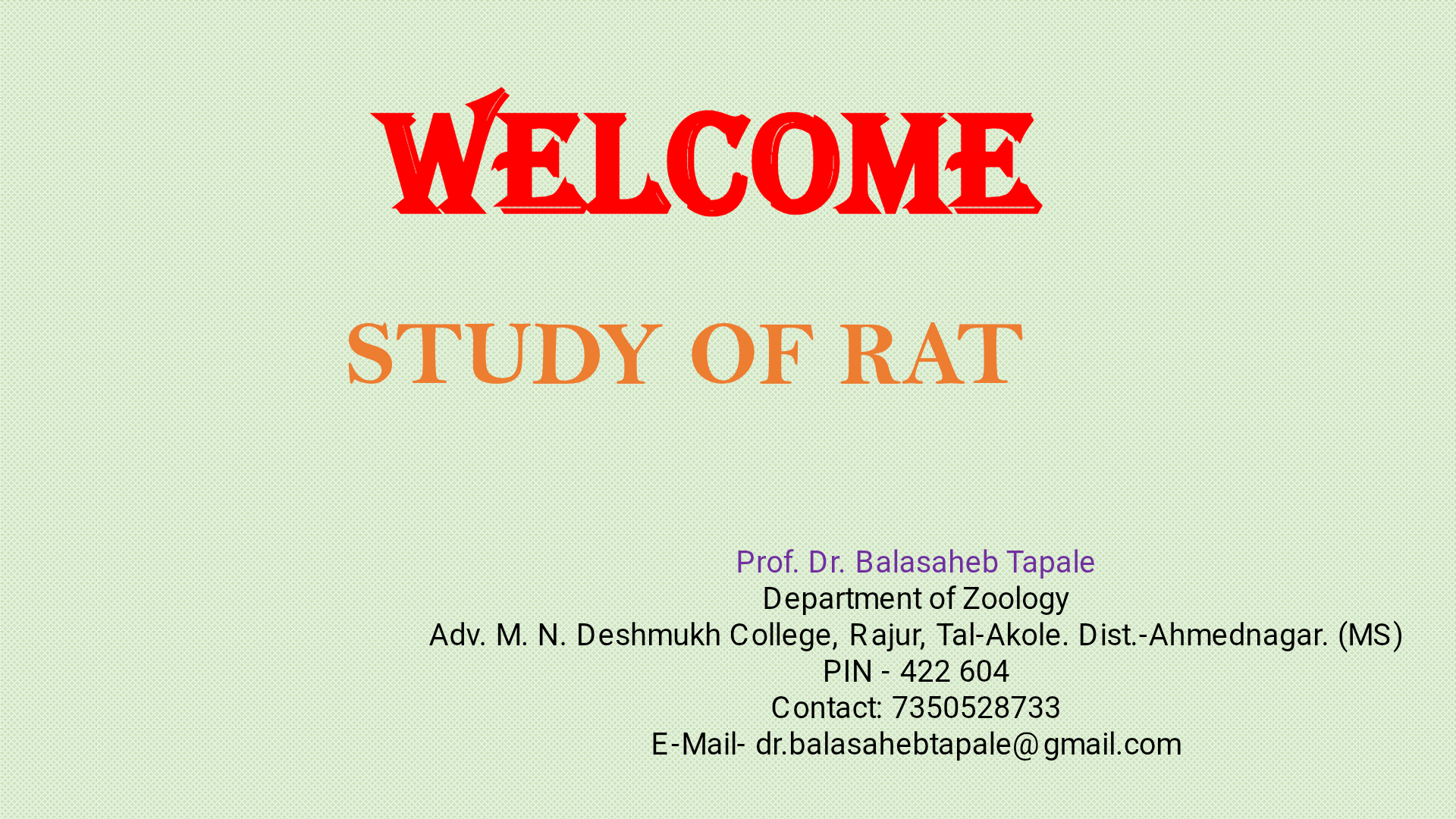 Study of a rat