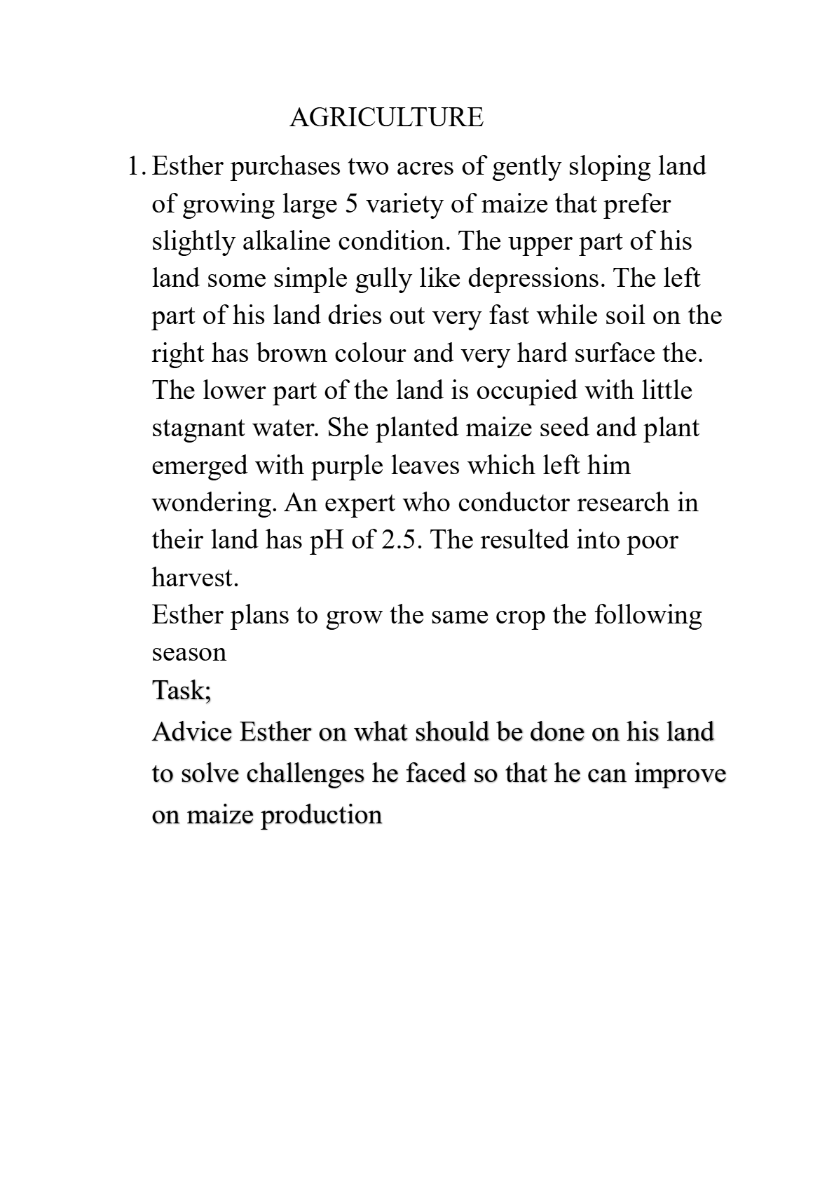AGRICULTURE cereal growing