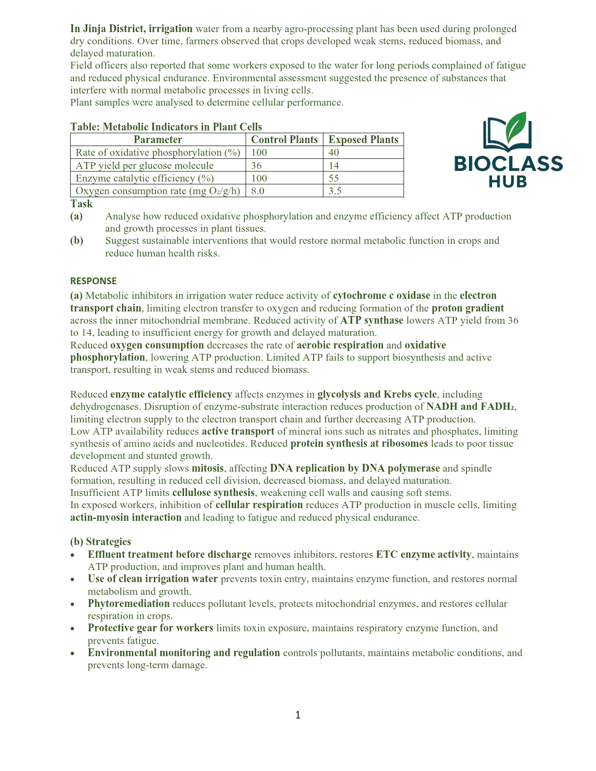 BIOCLASS HUB TRIAL SERIE 30
