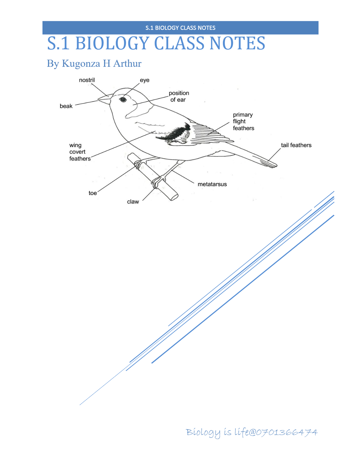 S.1 BIO