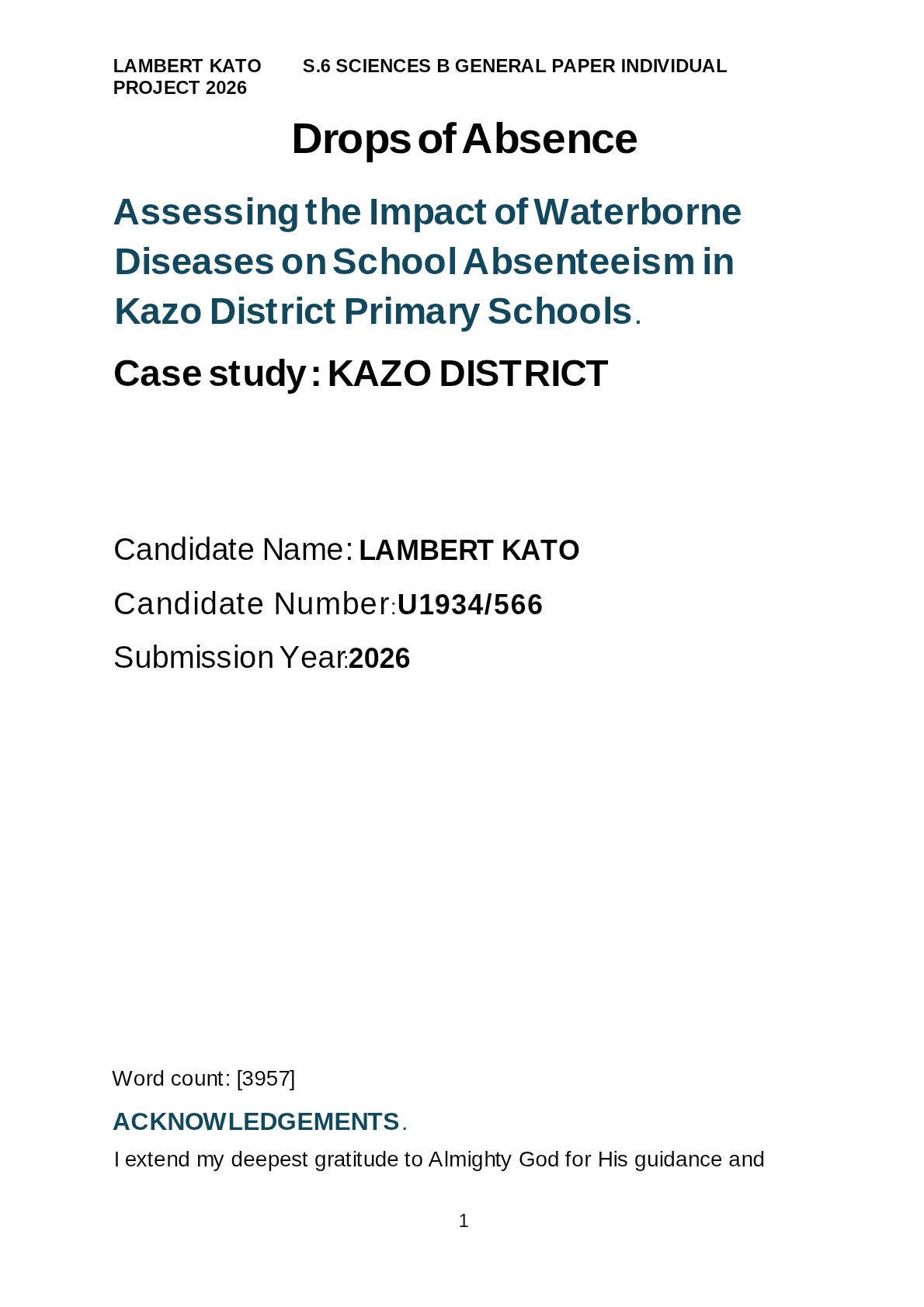 Assessing the Impact of Waterborne Diseases