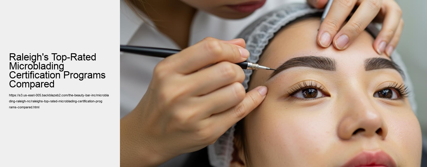 Raleigh's Top-Rated Microblading Certification Programs Compared
