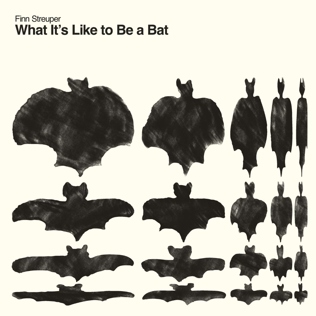 What It’s Like to be a Bat