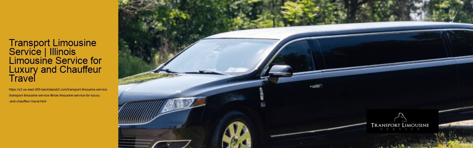 Transport Limousine Service | Illinois Limousine Service for Airport Transfers