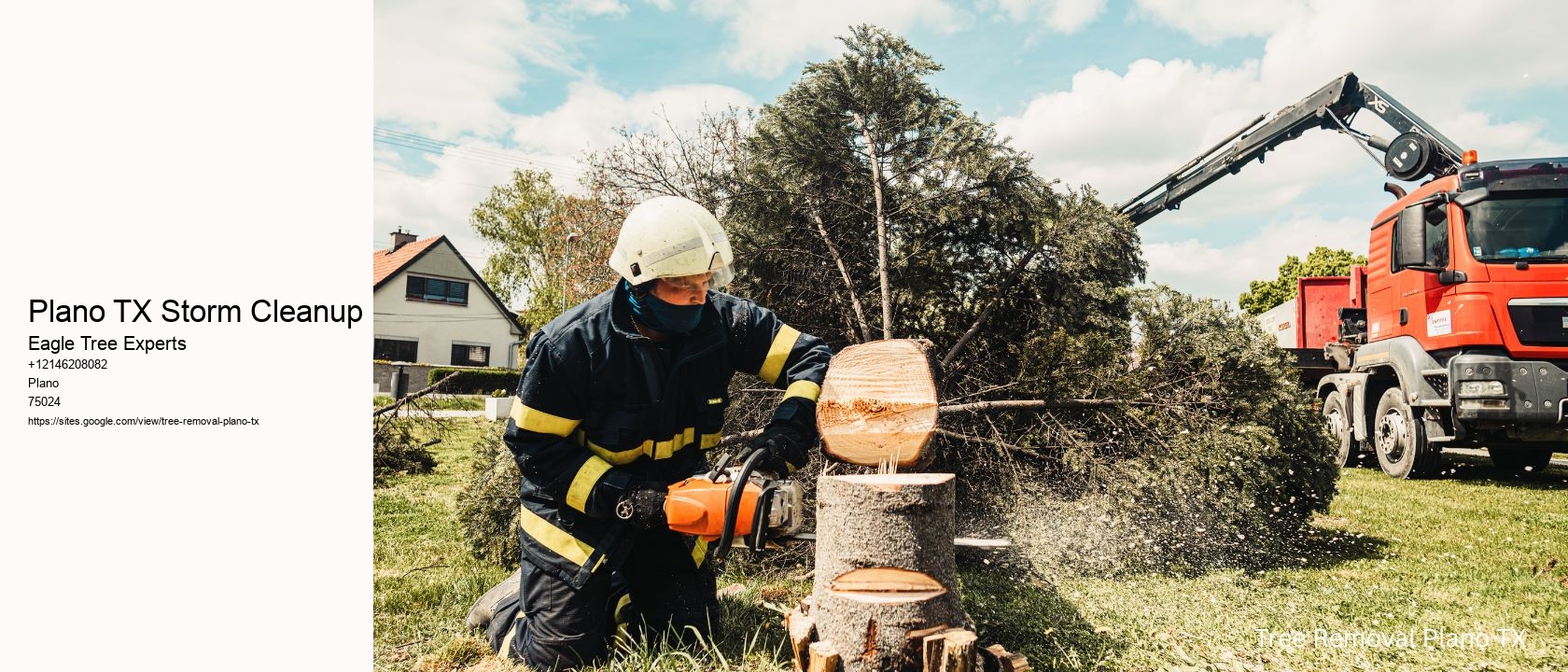Plano TX Storm Cleanup