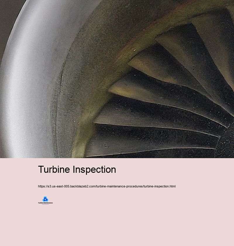 Turbine Inspection