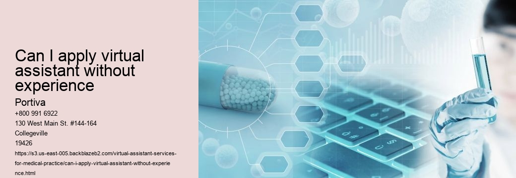 Can I apply virtual assistant without experience