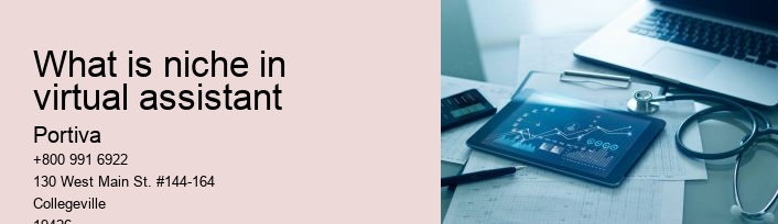 What is niche in virtual assistant