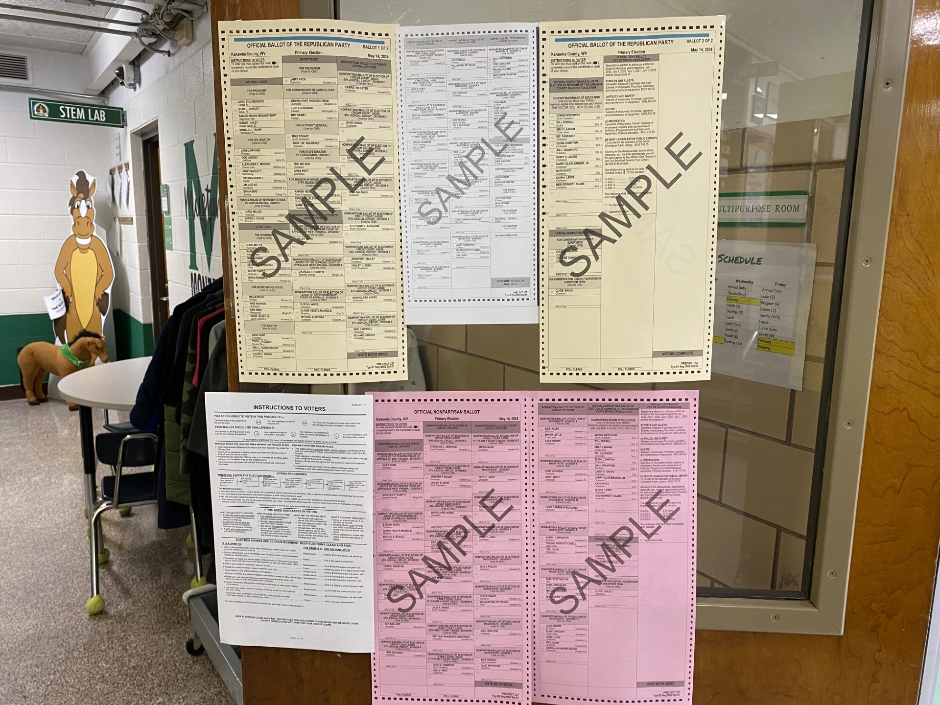 Democrats energized by significant increase in candidate filing for 2026 elections