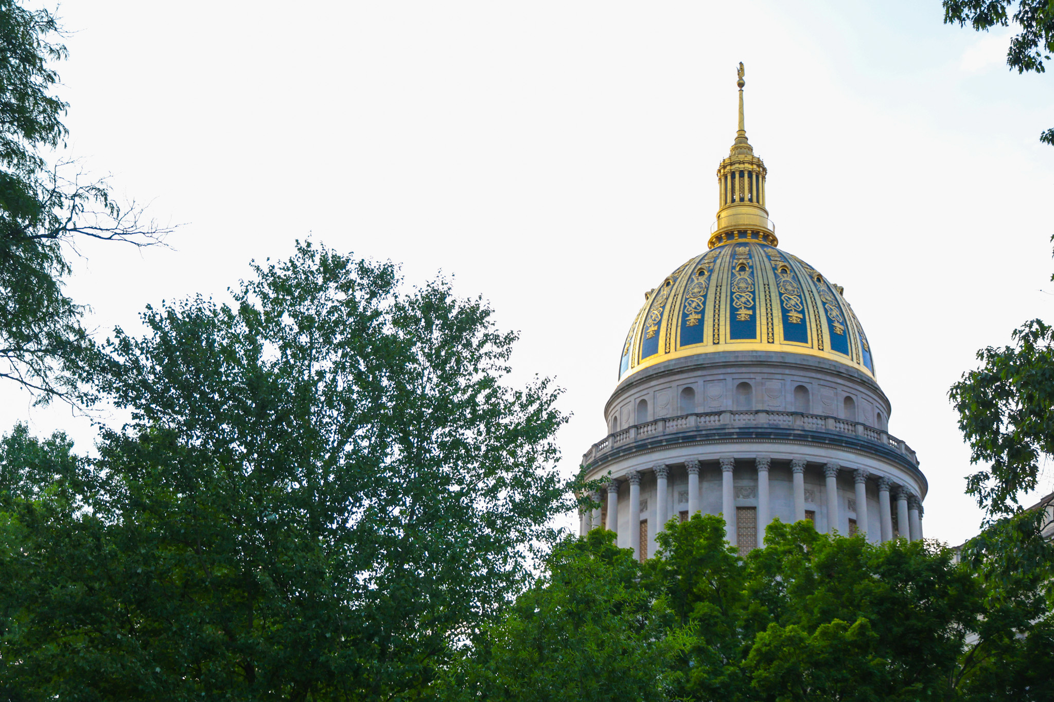 Senate approves conceal carry measure