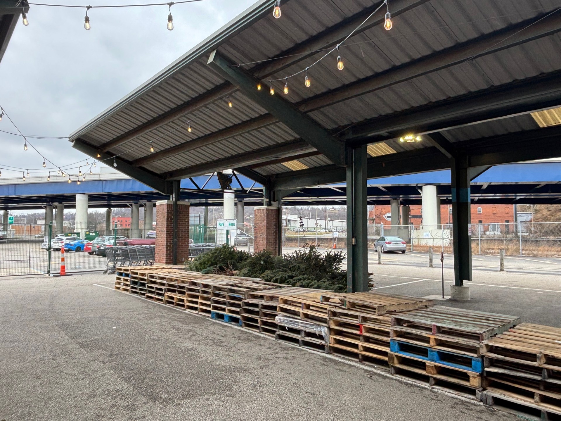 Capitol Market offers Christmas tree recycling program