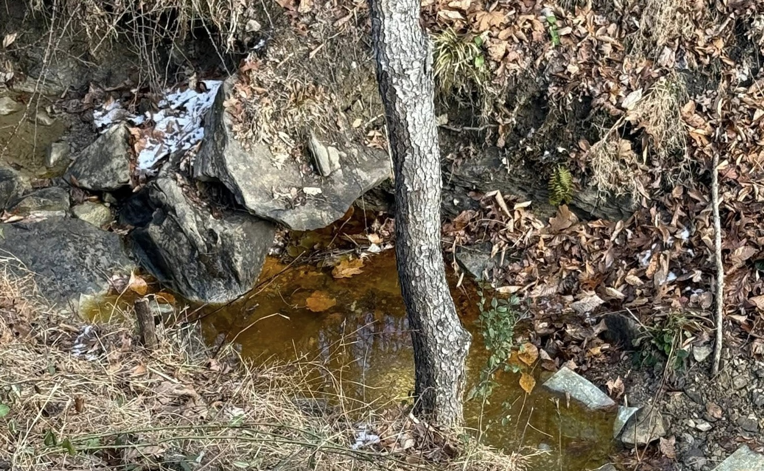 State Health officials say Wayne Do Not Consume Order continues