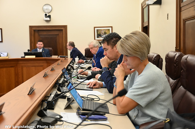 Senate jumpstarts the budget process, rolls out 10% tax cut bill and notes it will all change