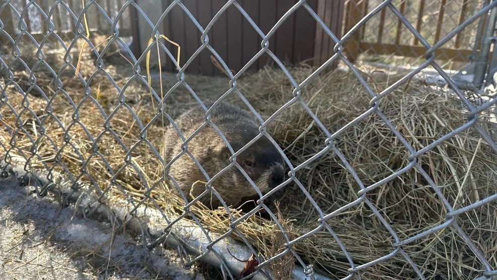 Freddie sees a shadow, but Charlie does not