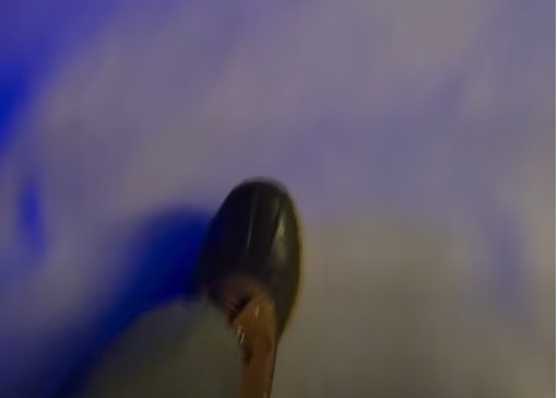 Hiker rescued after sliding down ice pack in Pendleton County