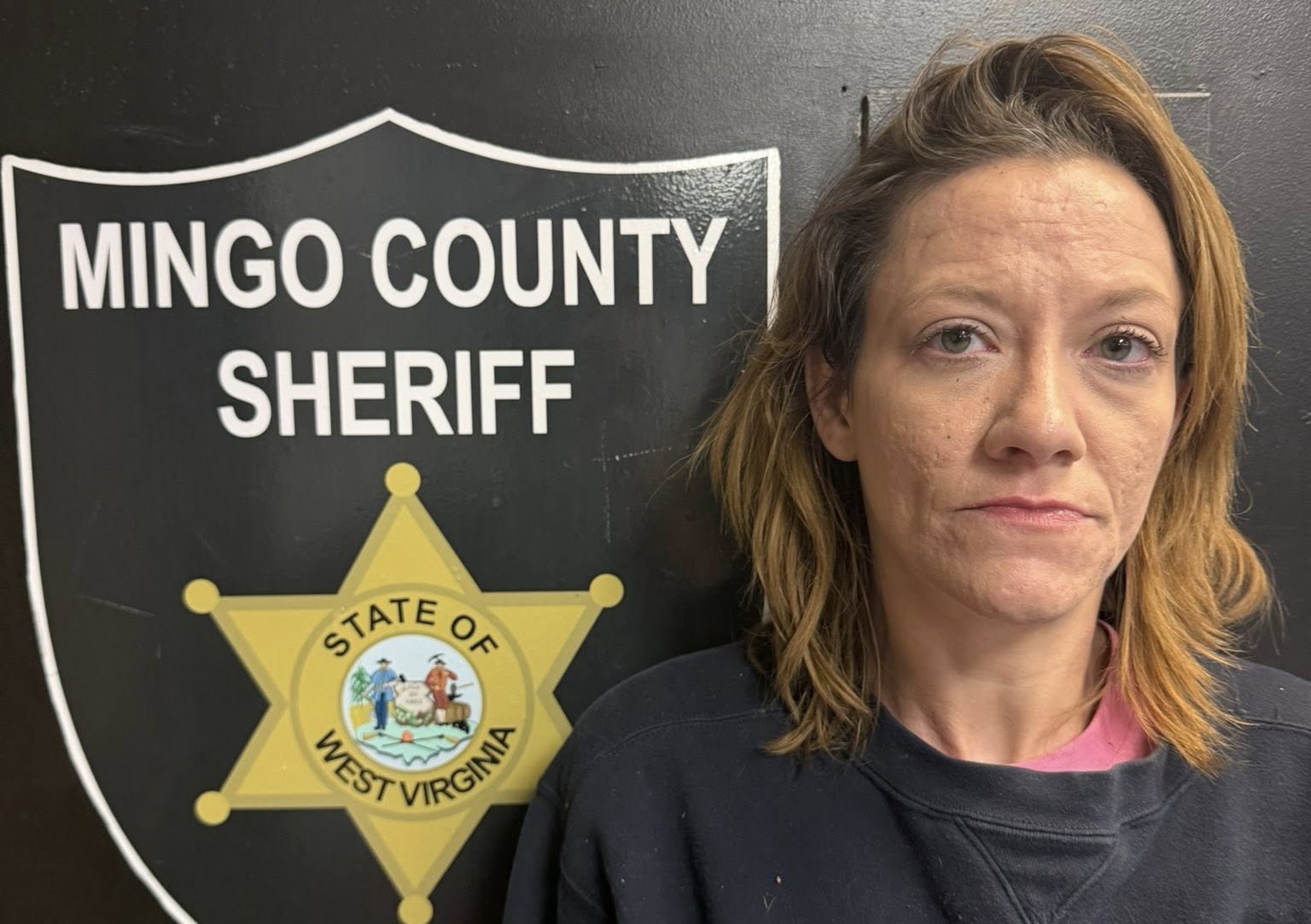 Kentucky fugitive arrested in Mingo County