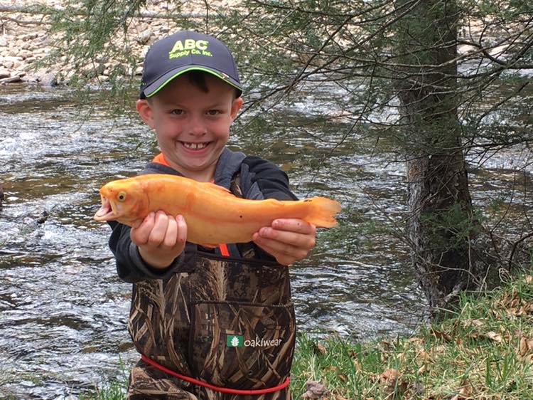 The popular DNR Gold Rush is on for the next two weeks