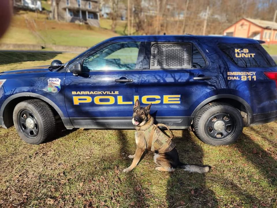 Entire Barrackville Police Department relieved of duties