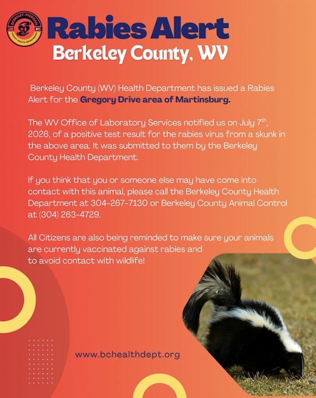 Rabid skunk found in Martinsburg; sixth rabies case reported this year in Berkeley County