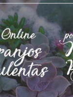 Curso Online de Arranjos com Suculentas