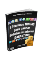 5 Técnicas Ninjas para ganhar dinheiro na internet!
