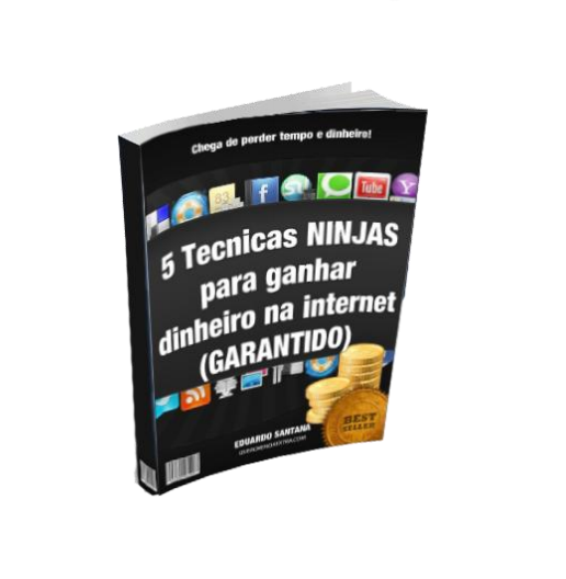 5 Técnicas Ninjas para ganhar dinheiro na internet!