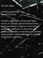 Dinheiro queimado - Ricardo Piglia