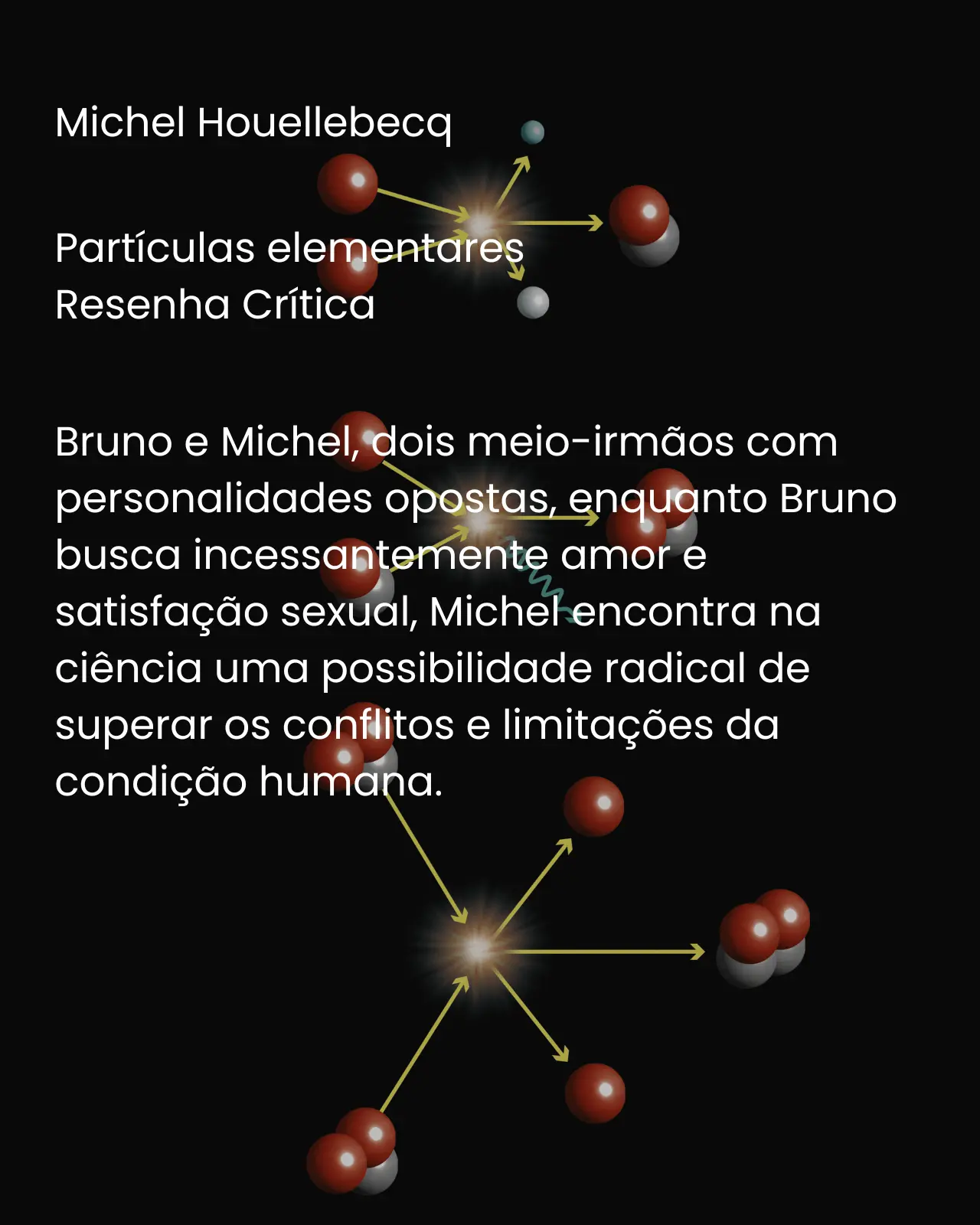 Partículas elementares - Michel Houellebecq