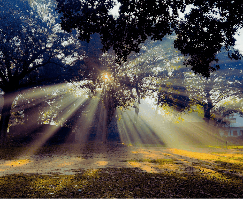 Shamanic Healing Sessions 